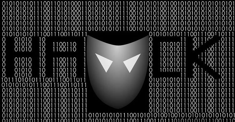 cybercriminalité
